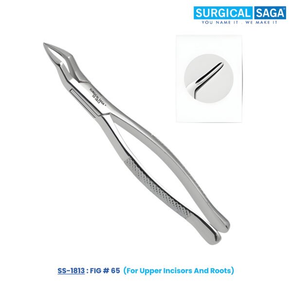 Fig # 65 - For Upper Incisors And Roots