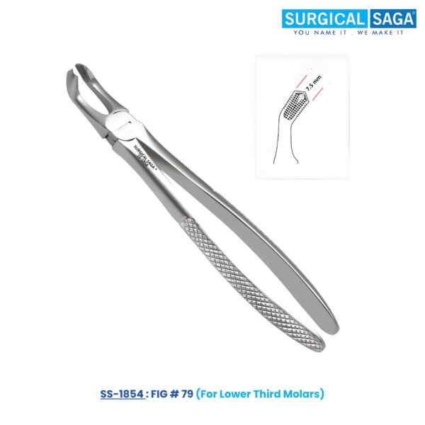 Fig # 79 - For Lower Third Molars